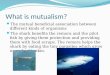 What is mutualism?