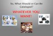 So, What  Should or Can  Be Cataloged?