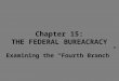 Chapter 15: THE  FEDERAL BUREACRACY