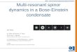 Multi-resonant  spinor  dynamics in a Bose-Einstein condensate