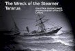 The Wreck of the Steamer  Tararua