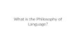 What is the Philosophy of Language?