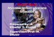 Buruli Ulcer Mycobacterium ulcerans  Infection