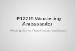 P12215 Wandering Ambassador