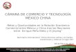 CÁMARA DE COMERCIO Y TECNOLOGÍA MÉXICO CHINA