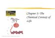 Chapter 2:  The Chemical Context of Life