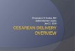 Cesarean Delivery Overview