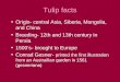 Tulip facts