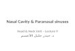 Nasal Cavity & Paranasal sinuses