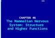 CHAPTER 46 The Mammalian Nervous System: Structure  and Higher Functions