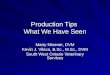 Production Tips  What We Have Seen