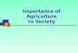 Importance of Agriculture to Society