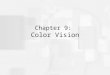 Chapter 9:  Color Vision