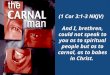 (1 Cor 3:1-3 NKJV)   And I, brethren, could not speak to you as to spiritual people but as to carnal, as to babes in Christ