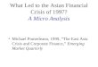 What Led to the Asian Financial Crisis of 1997? A Micro Analysis