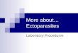 More about Ectoparasites
