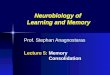 Prof. Stephan Anagnostaras Lecture 5:  Memory   Consolidation