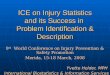 ICE on Injury Statistics and its Success in  Problem Identification & Description