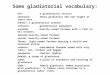 Some gladiatorial vocabulary: