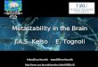 Metastability in the Brain J.A.S. Kelso    E. Tognoli