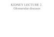 KIDNEY LECTURE 2.  Glomerular diseases