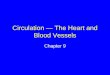 Circulation — The Heart and Blood Vessels