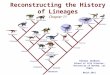 Reconstructing the History of Lineages