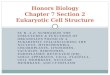 Honors Biology Chapter 7 Section 2 Eukaryotic Cell Structure