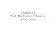 Chapter 11 DNA: The Carrier of Genetic Information