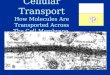 Cellular Transport How Molecules Are Transported Across The Cell Membrane