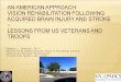 An American Approach:  Vision Rehabilitation Following Acquired Brain Injury and Stroke –  Lessons from US Veterans and Troops