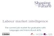 Labour market intelligence