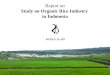 Report on Study on Organic Rice  Industry  in  Indonesia