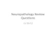Neuropathology Review Questions