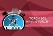 TORCH 101: What is TORCH?