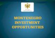 MONTENEGRO INVESTMENT  OPPORTUNITIES