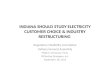INDIANA SHOULD STUDY ELECTRICITY CUSTOMER CHOICE & INDUSTRY RESTRUCTURING