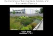 Maintenance of Rain Gardens, Swales, and  Stormwater  Planters