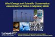 Wind Energy and Scientific Conservation :  Assessment of  Risks to Migratory Birds
