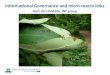 Informational Governance and  micro-macro links Gert Jan Hofstede, INF  group
