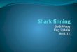 Shark  finning