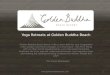 Yoga Retreats at Golden Buddha Beach