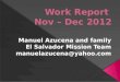 Work R eport Nov –  Dec  2012