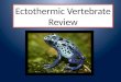 Ectothermic  Vertebrate Review
