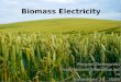 Biomass Electricity
