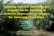 Applying Spectral Unmixing and Support Vector Machine to Airborne Hyperspectral Imagery for Detecting Giant Reed