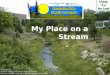 My Place on a Stream