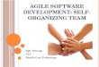 Agile software development:  Self-organizing  team