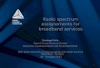 Radio  spectrum assignements for broadband services