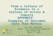 From a Culture of Evidence to a Culture of Action & Inquiry APPENDIX:  Examples of Outcomes Data That Matter